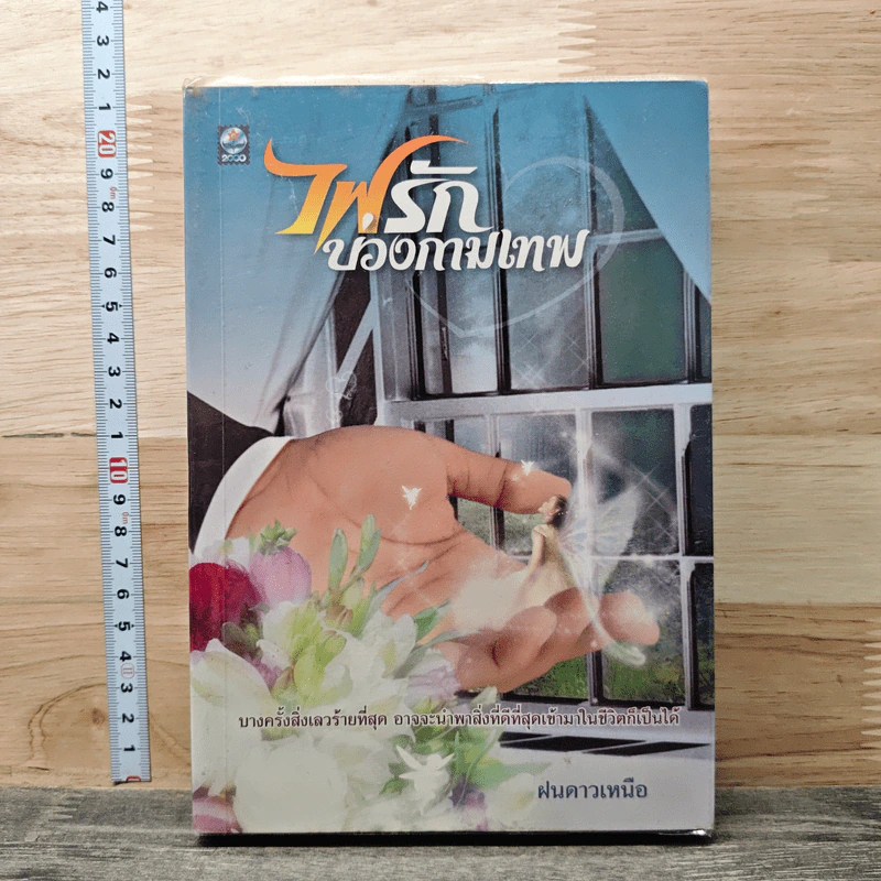 หนังสือ ไฟรักบ่วงกามเทพ รูปที่ 1