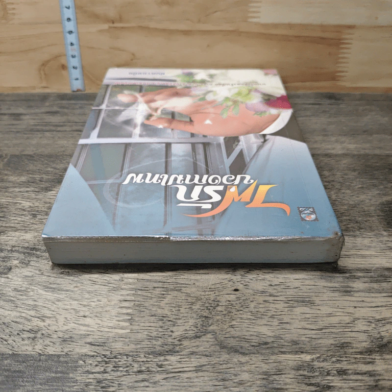 หนังสือ ไฟรักบ่วงกามเทพ รูปที่ 4