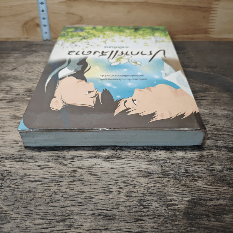 หนังสือ ปราการแสงดาว - อาพัชรินทร์ รูปที่ 4