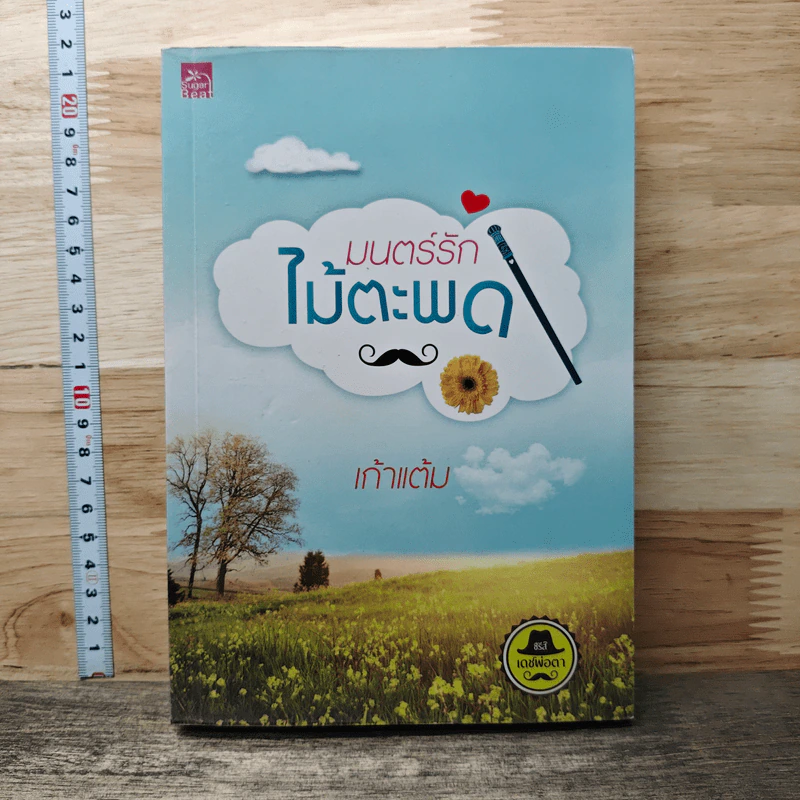 หนังสือ มนตร์รักไม้ตะพด รูปที่ 1