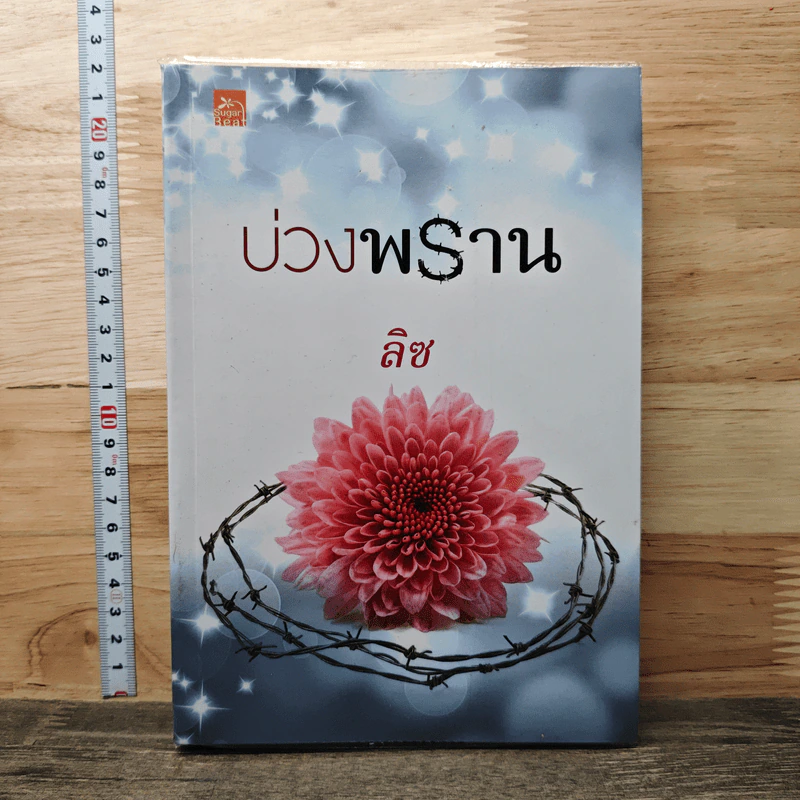 บ่วงพราน - ลิซ รูปที่ 1