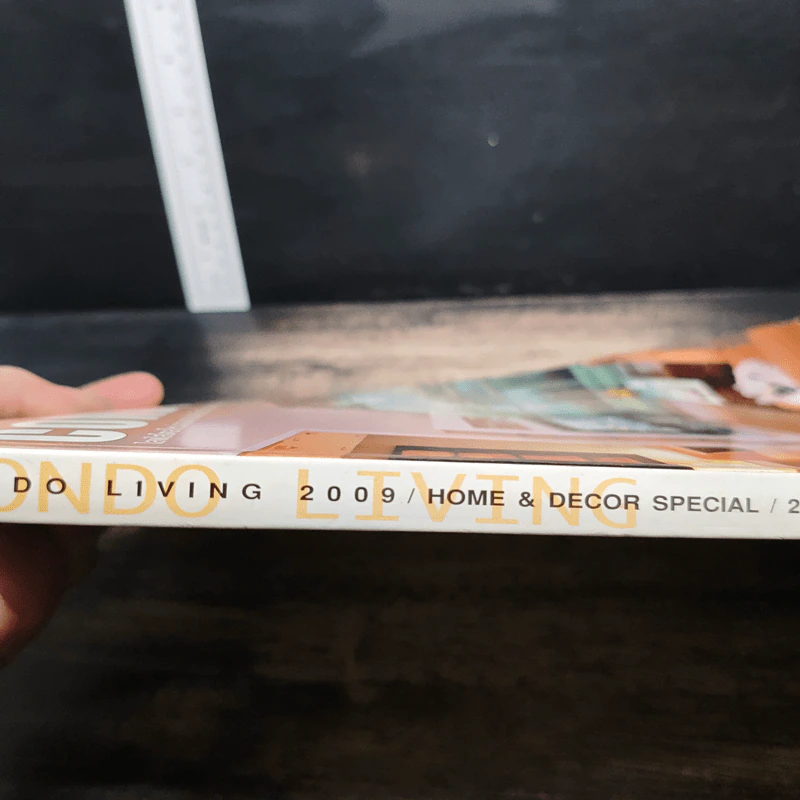 Home & Decor Special: Condo Living 2009 รูปที่ 3