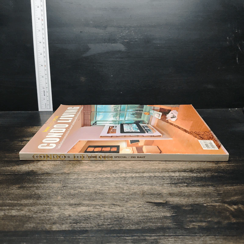 Home & Decor Special: Condo Living 2009 รูปที่ 4