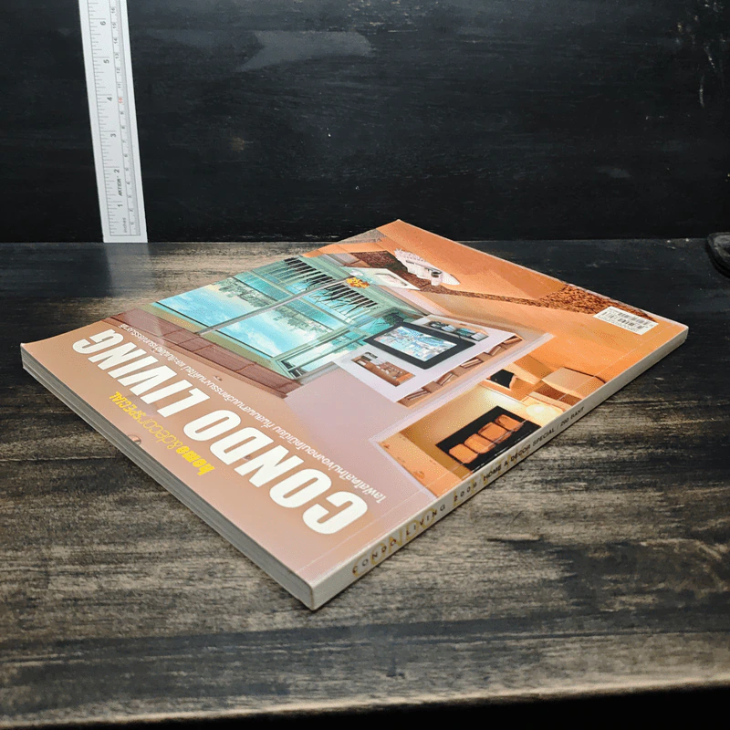 Home & Decor Special: Condo Living 2009 รูปที่ 6