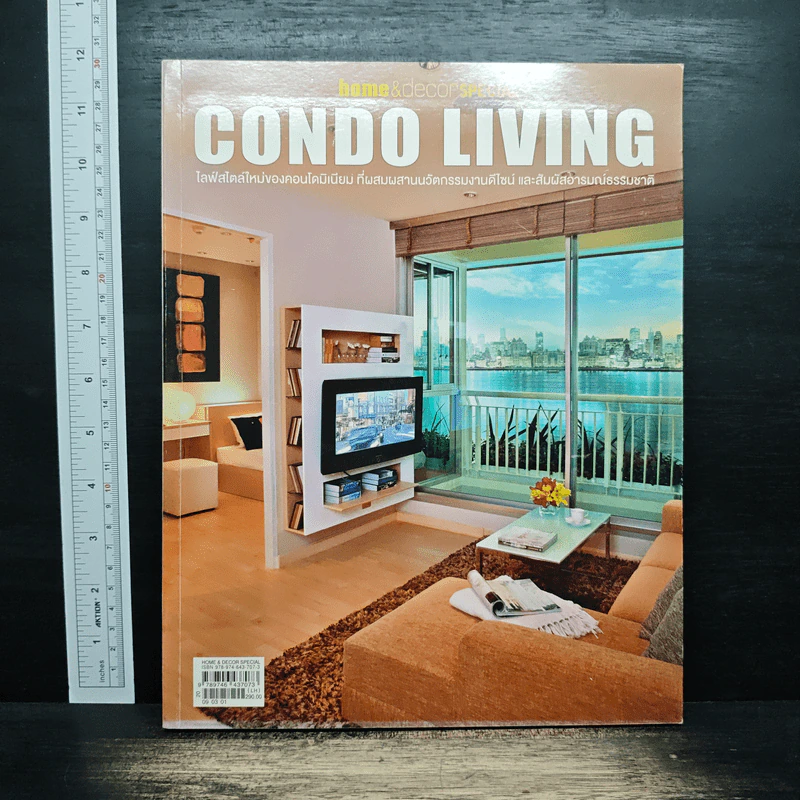 Home & Decor Special: Condo Living 2009 รูปที่ 1