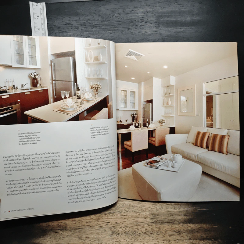 Home & Decor Special: Condo Living 2009 รูปที่ 10