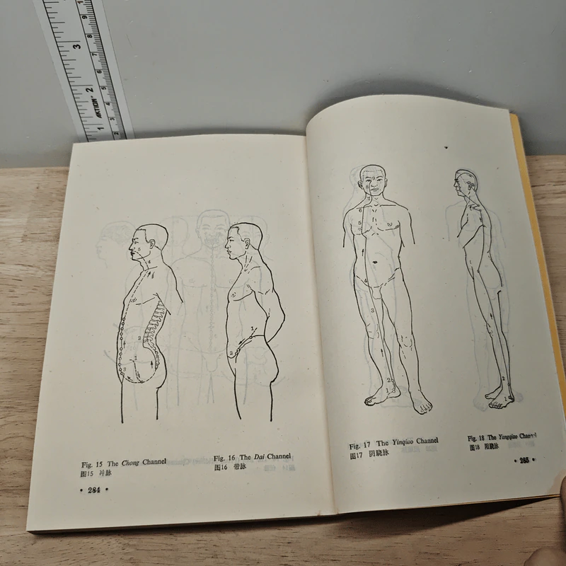 Basic Theory of Traditional Chinese Medicine Vol.1 รูปที่ 8