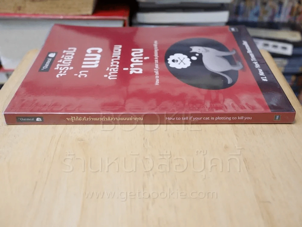 จะรู้ได้ยังไงว่าแมวกำลังวางแผนฆ่าคุณ (การ์ตูน) รูปที่ 2