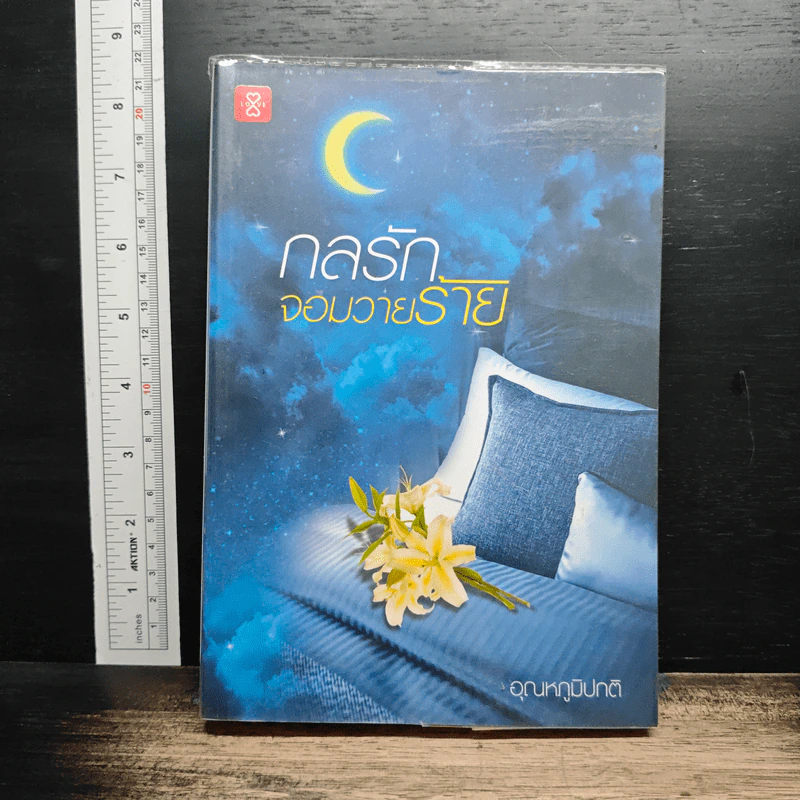หนังสือ กลรักจอมวายร้าย รูปที่ 1