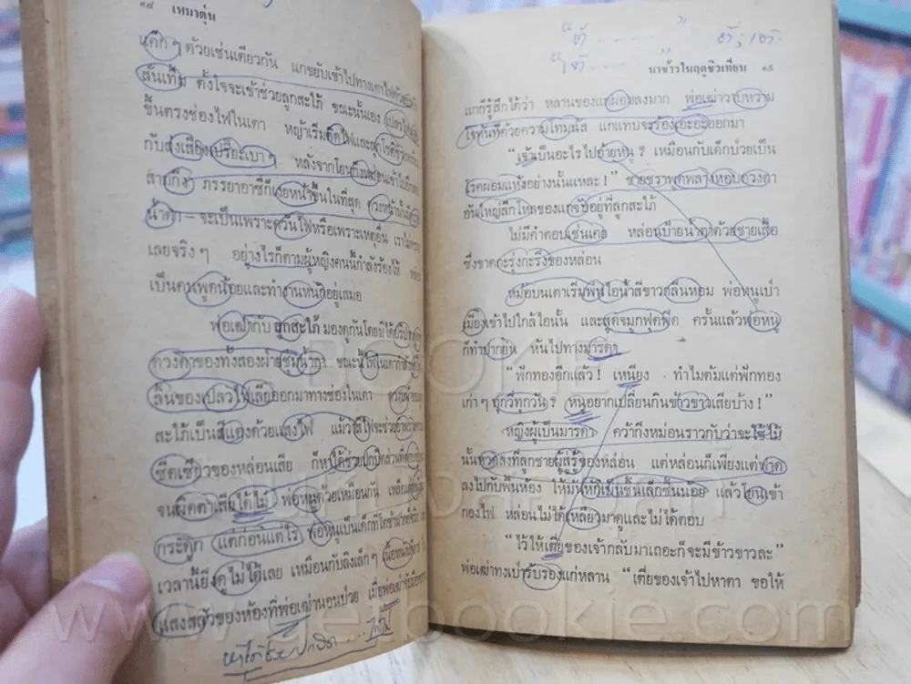 นาข้าวในฤดูชิวเทียน - เหมาตุ๋น จูเลียต แปล (มีรอยปากกาเขียนทุกหน้า) รูปที่ 8