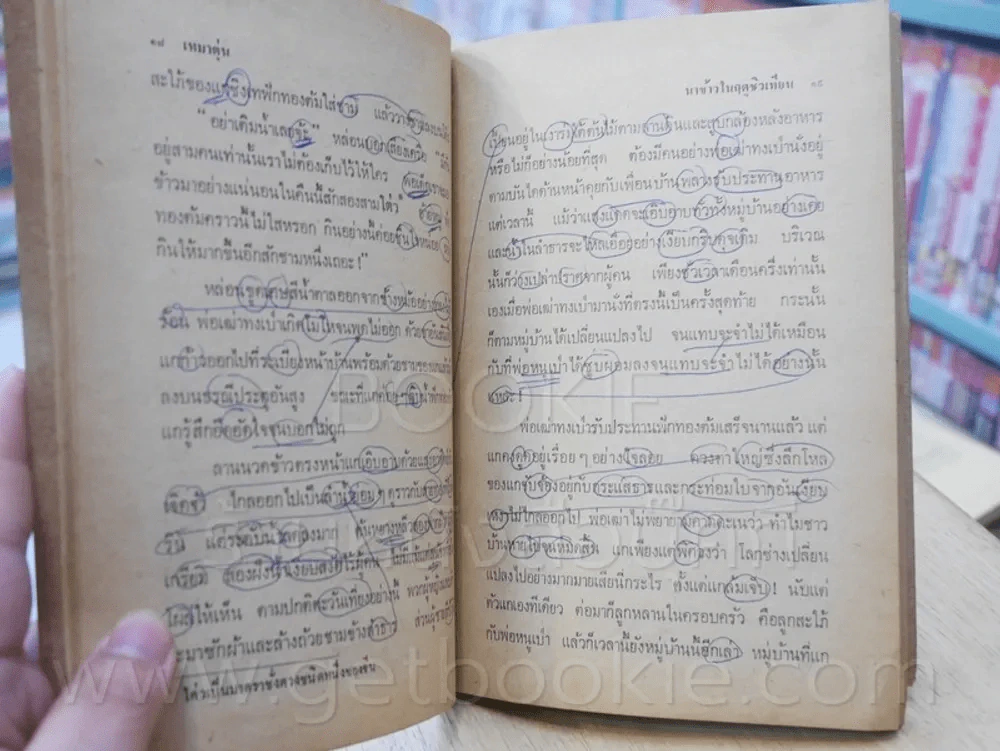 นาข้าวในฤดูชิวเทียน - เหมาตุ๋น จูเลียต แปล (มีรอยปากกาเขียนทุกหน้า) รูปที่ 9