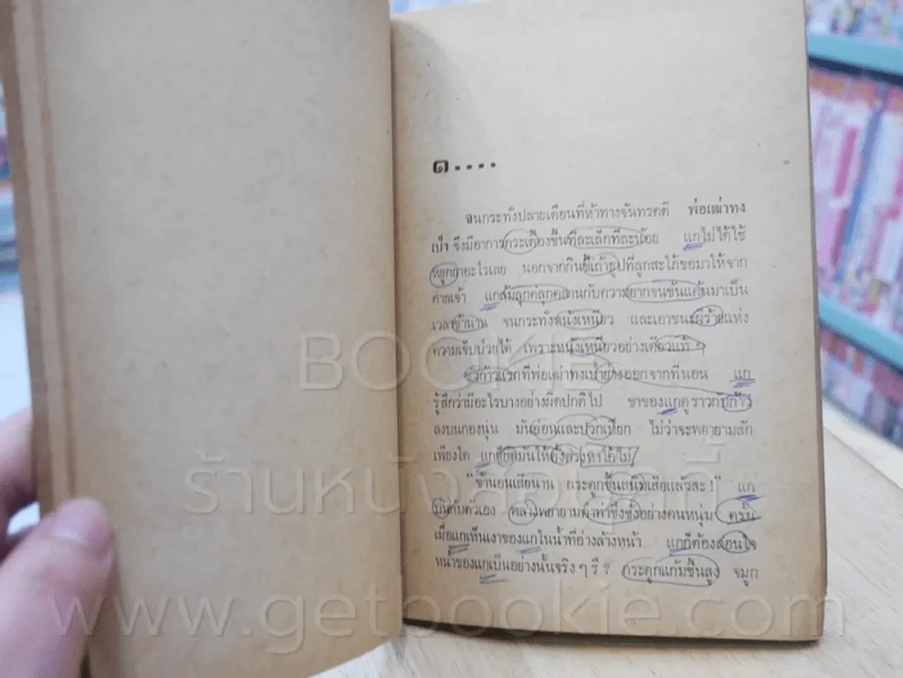 นาข้าวในฤดูชิวเทียน - เหมาตุ๋น จูเลียต แปล (มีรอยปากกาเขียนทุกหน้า) รูปที่ 6