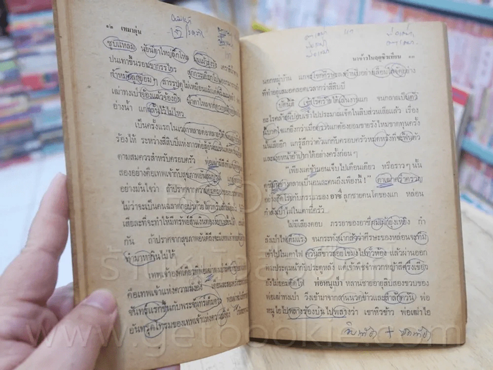 นาข้าวในฤดูชิวเทียน - เหมาตุ๋น จูเลียต แปล (มีรอยปากกาเขียนทุกหน้า) รูปที่ 7