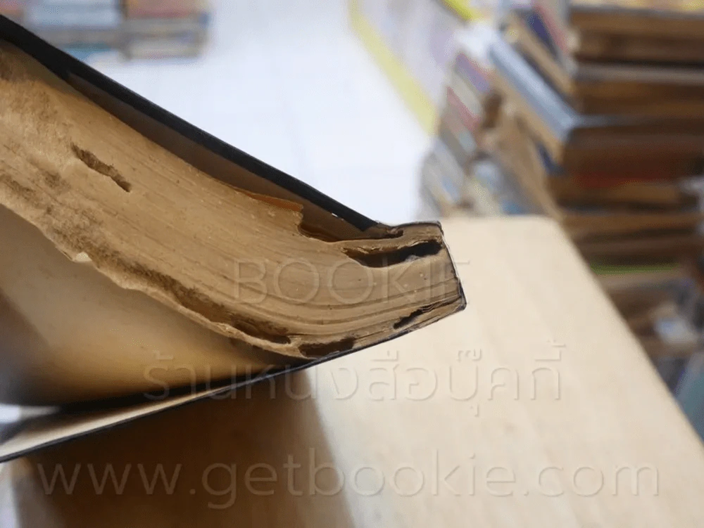 น้องนางบ้านไร่ ชุดที่ 2 เล่มที่ 5 หนังสือชุดห้องสมุด - วิลลา เคเธอร์ รูปที่ 10