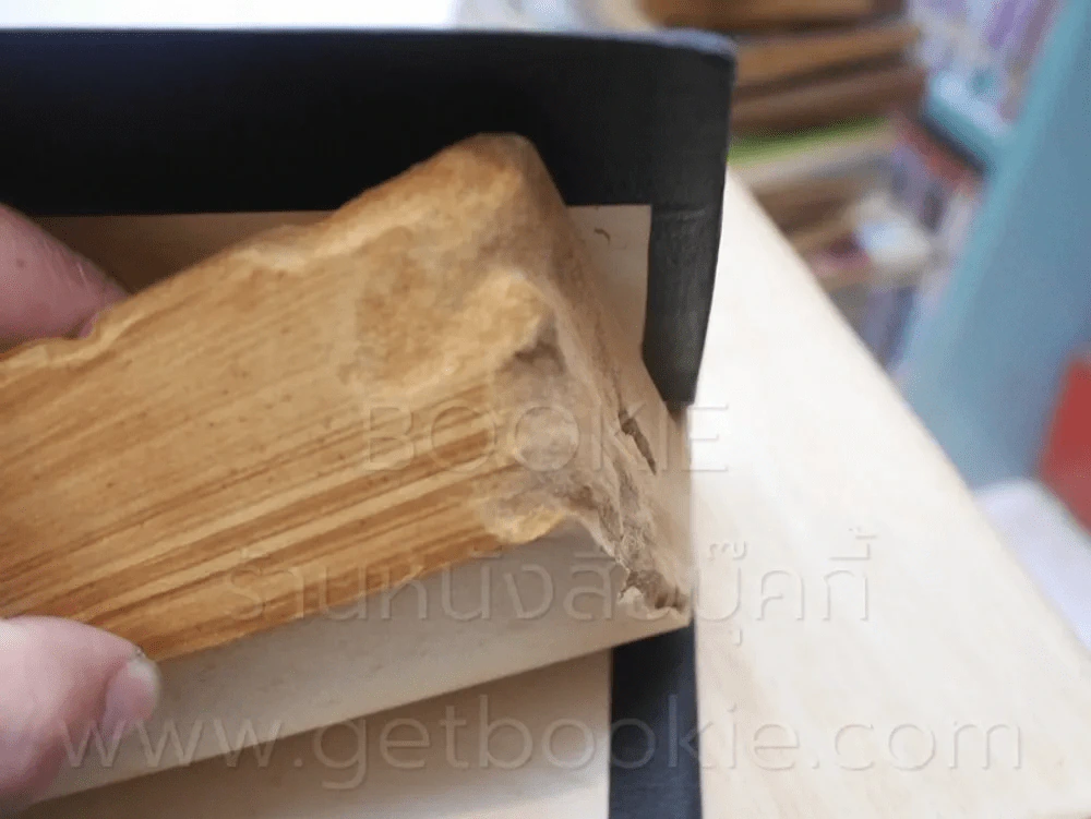 น้องนางบ้านไร่ ชุดที่ 2 เล่มที่ 5 หนังสือชุดห้องสมุด - วิลลา เคเธอร์ รูปที่ 9