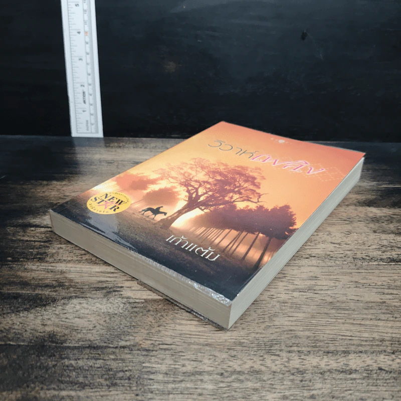 หนังสือ วิวาห์เพลิง รูปที่ 4
