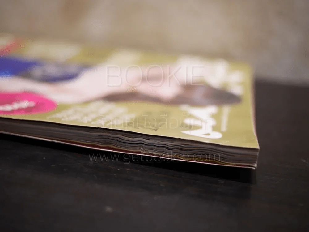 ทีวีพูล ฉบับที่ 1080 พ.ศ.2554 บี น้ำทิพย์ (สภาพบวมน้ำ) รูปที่ 2
