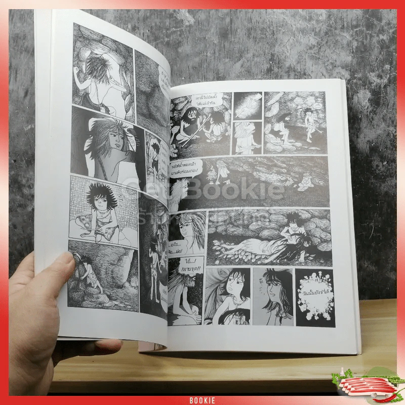 บ้านเก่า 1 รูปที่ 3