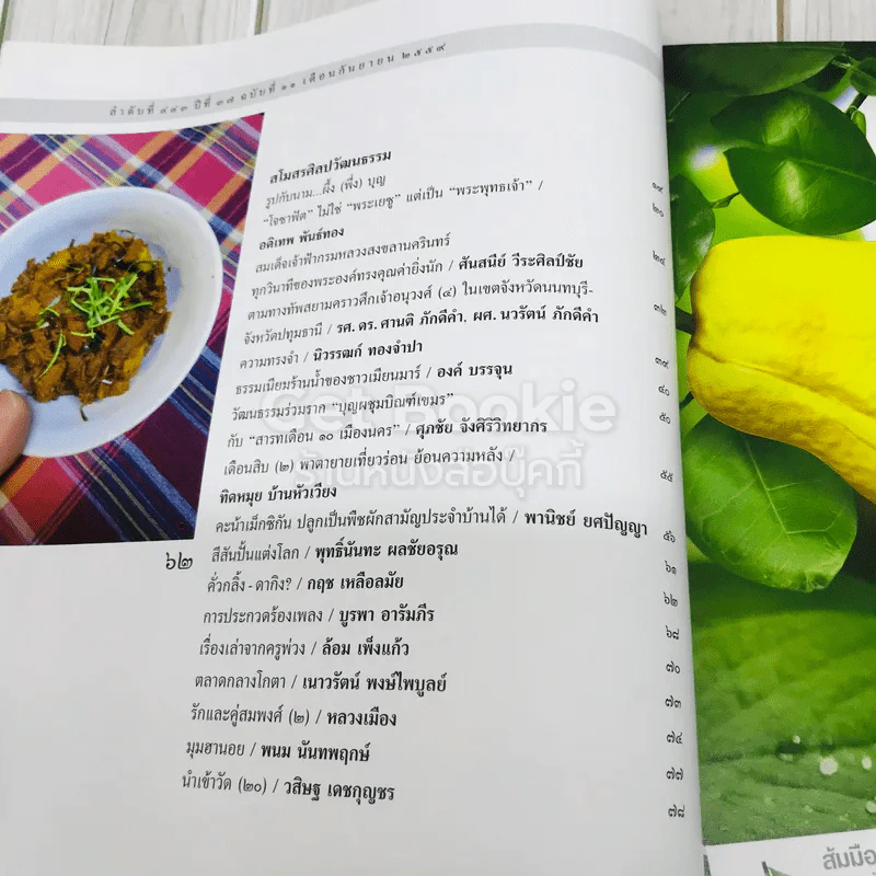 ศิลปวัฒนธรรม ปีที่ 37 ฉบับที่ 11 กันยายน 2559 รูปที่ 5