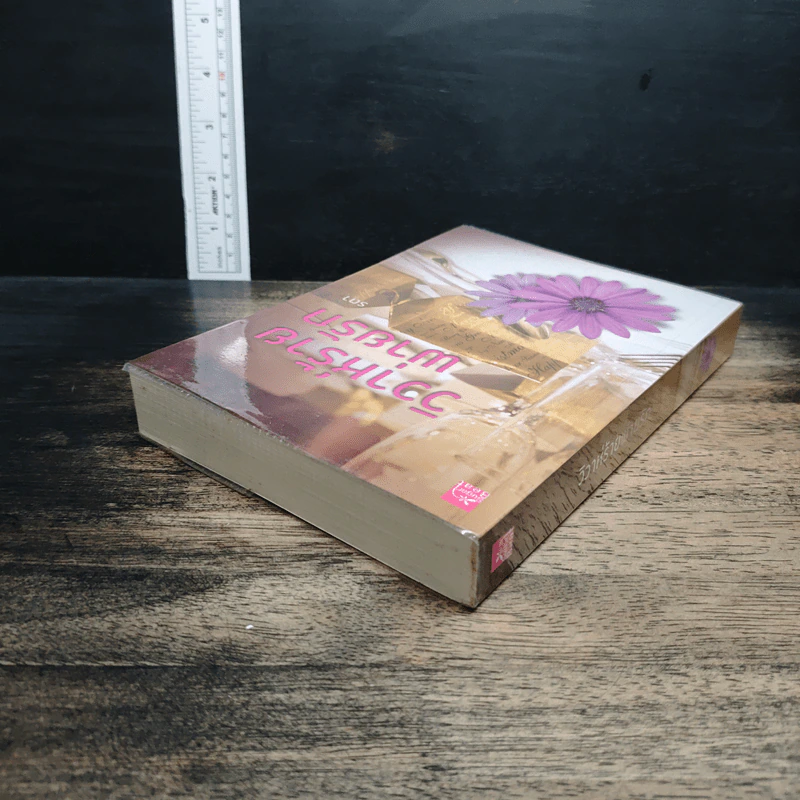หนังสือ วิวาห์ร้ายพ่ายรัก รูปที่ 5