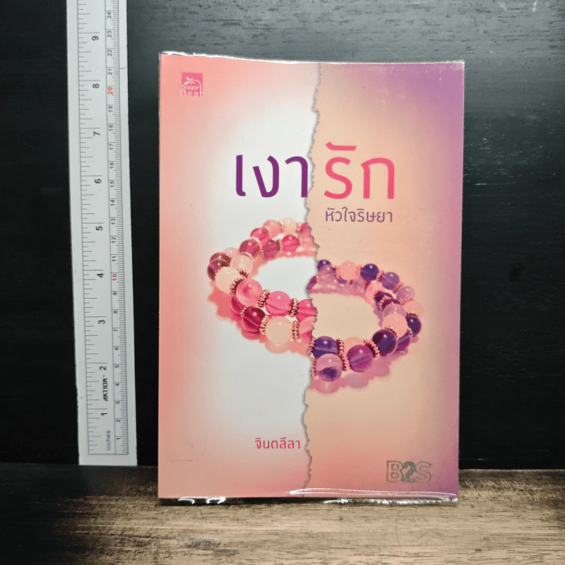 เงารักหัวใจริษยา - จินตลีลา รูปที่ 1