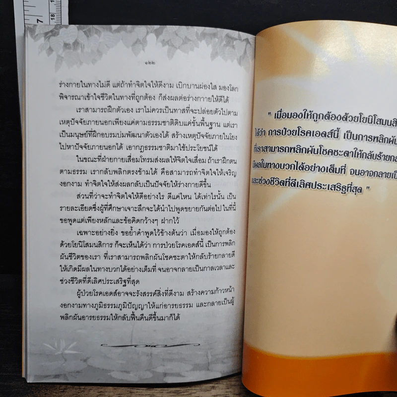 กายหายไข้-ใจหายทุกข์ ธรรมะชนะ เอดส์ รูปที่ 9