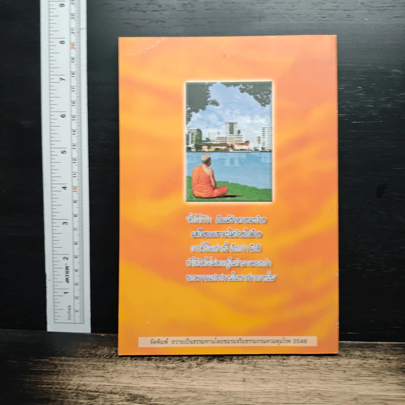กายหายไข้-ใจหายทุกข์ ธรรมะชนะ เอดส์ รูปที่ 2