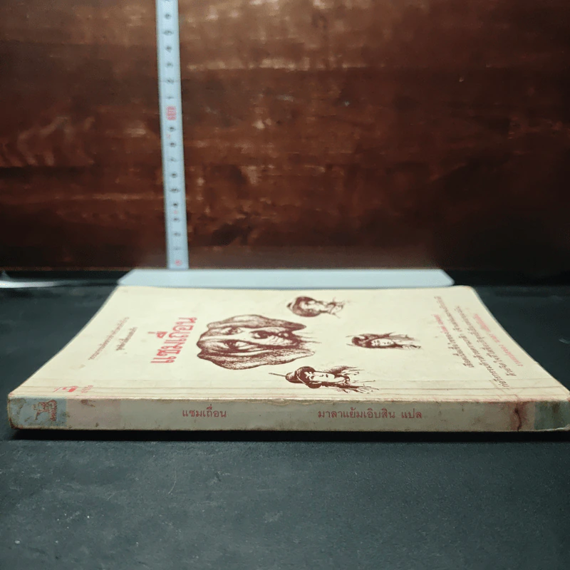 หนังสือ แซมเถื่อน รูปที่ 3