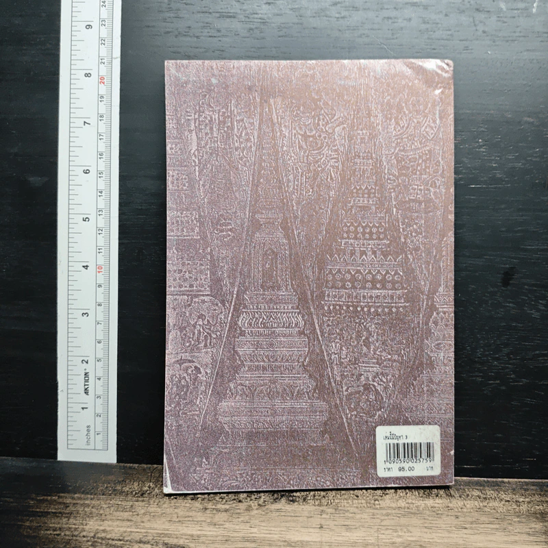 หนังสือ เล่มนี้มีปัญหา 3 รูปที่ 2