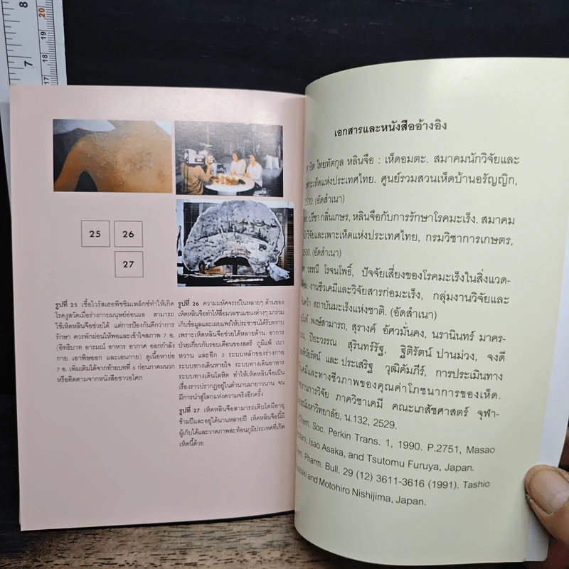 เห็ดหลินจือในการรักษาโรค รูปที่ 8