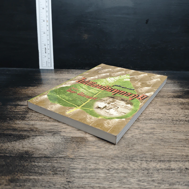 หนังสือ ไปเยือนถิ่นพุทธภูมิ - จินดา ศิริมานนท์ รูปที่ 4