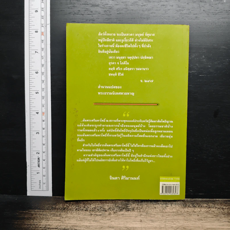 หนังสือ ไปเยือนถิ่นพุทธภูมิ - จินดา ศิริมานนท์ รูปที่ 2