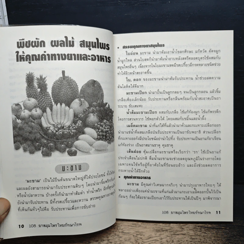108 ยาสมุนไพรไทยรักษาโรค รูปที่ 10