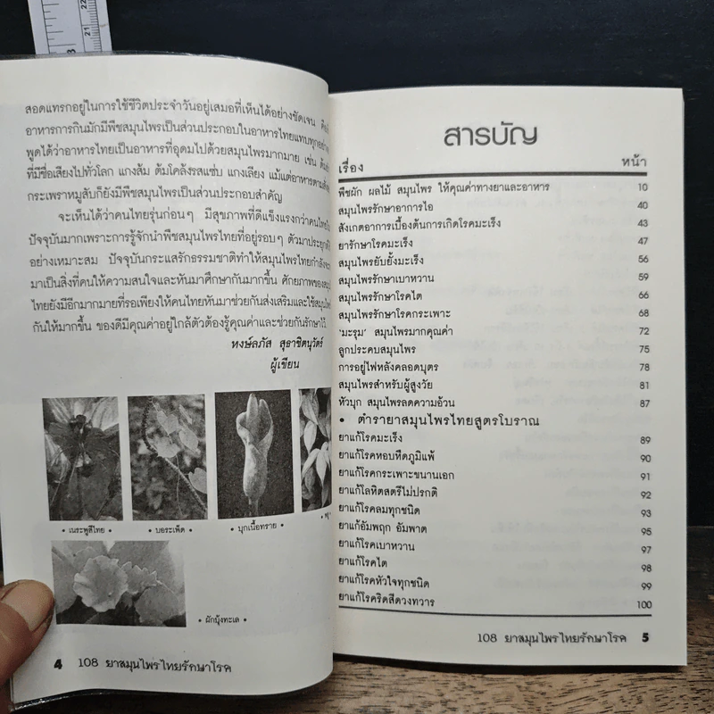 108 ยาสมุนไพรไทยรักษาโรค รูปที่ 7