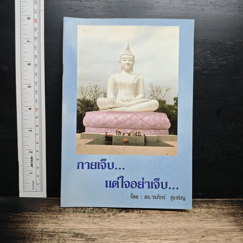 กายเจ็บ... แต่ใจอย่าเจ็บ... รูปที่ 1