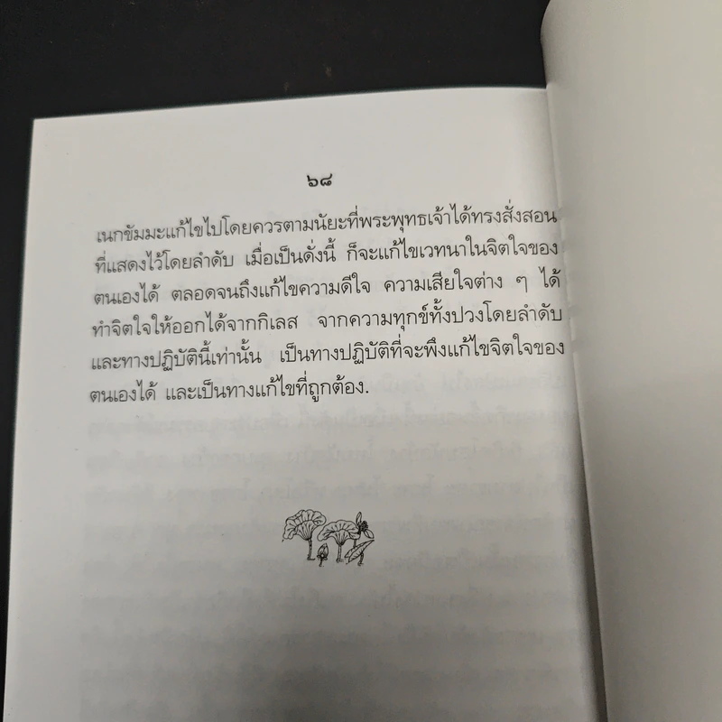 อุเบกขาะการวางเฉยอย่างถูกวิธี รูปที่ 9