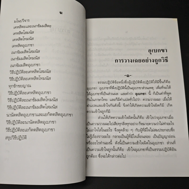 อุเบกขาะการวางเฉยอย่างถูกวิธี รูปที่ 8