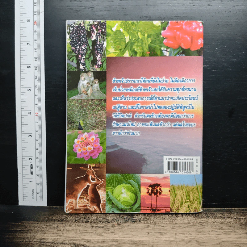 หนังสือ กิน-อยู่ เพื่อชีวิตและสิ่งแวดล้อมที่ดีกว่า รูปที่ 2