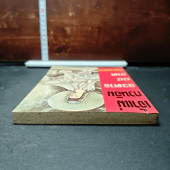 หนังสือ เจ้าแม่กวนอิน อวตาร 84 ภาค นิรมาณกาย รูปที่ 5