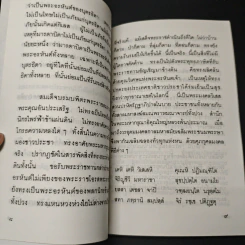 พระพรประทานปีใหม่ พ.ศ.2539 รูปที่ 7