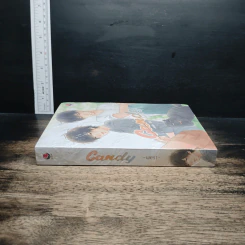 Candy (everY) รูปที่ 3