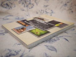 ภาพถ่ายแห่งแผ่นดิน ประจำปี 2556 รูปที่ 3