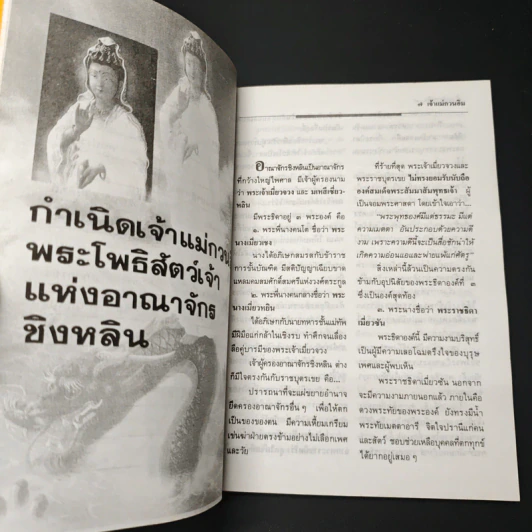 โลกทิพย์ อภินิหารเจ้าแม่กวนอิม 3 รูปที่ 8