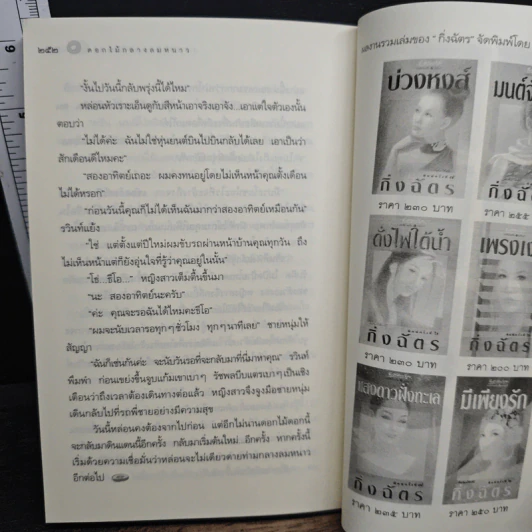 หิมะกลางทะเลทราย - กิ่งฉัตร รูปที่ 8
