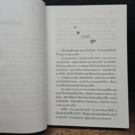 พรายปรารถนา - กิ่งฉัตร รูปที่ 7