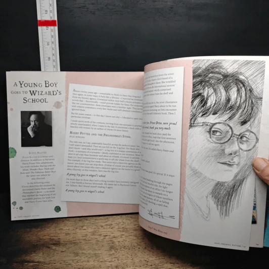 Harry Potter: A Journey Through a History of Magic รูปที่ 9