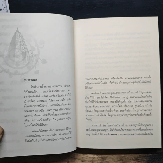 7 เดือนบรรลุธรรม รูปที่ 10