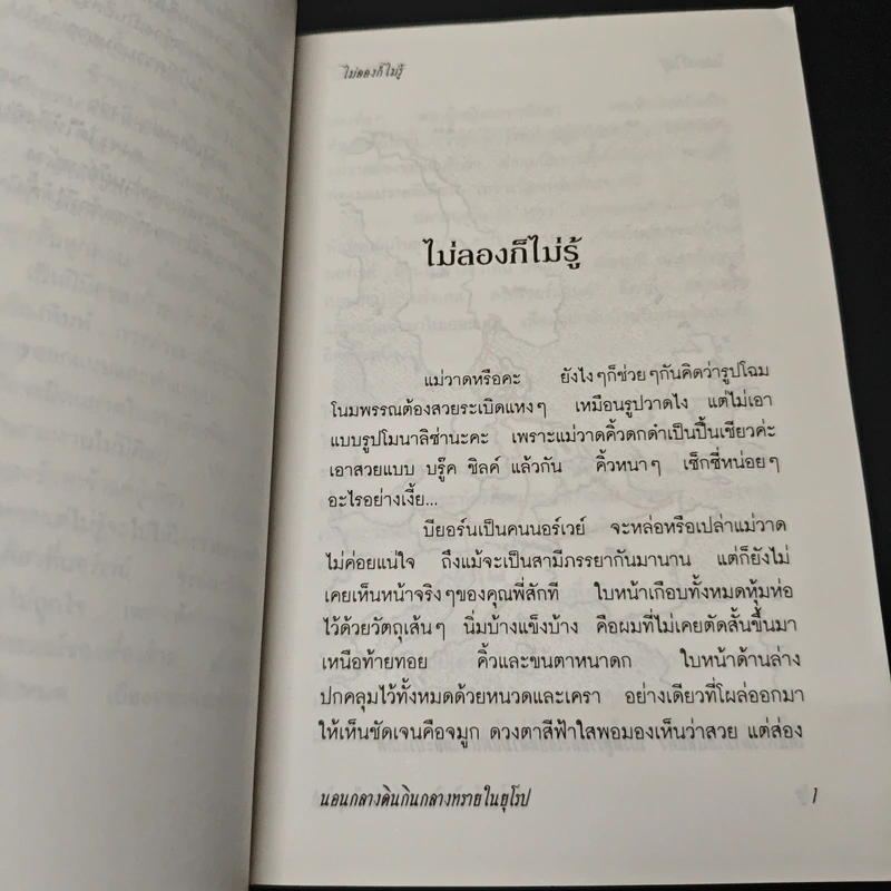 นอนกลางดินกินกลางทรายในยุโรป - จันทร์ แอนเดอร์สัน รูปที่ 7