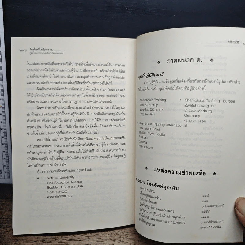 มิตรไมตรีไม่มีประมาณ : คู่มือให้การปรึกษาและจิตบำบัดแนวภาวนา - คาเรน คิสเซล เวเกลา, ดวงหทัย ชาติพุทธิ รูปที่ 9