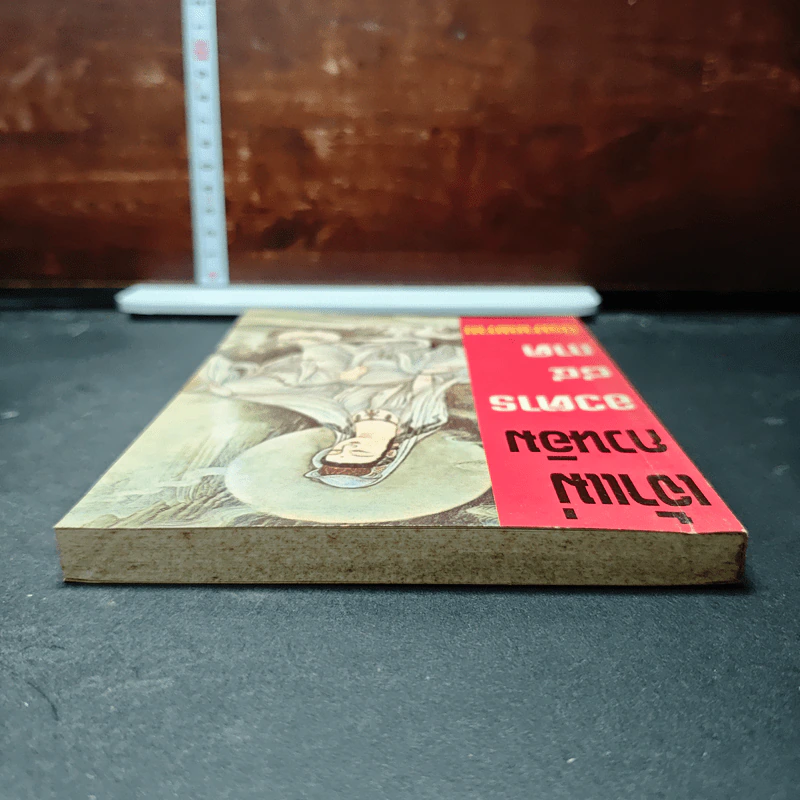 หนังสือ เจ้าแม่กวนอิน อวตาร 84 ภาค นิรมาณกาย รูปที่ 5